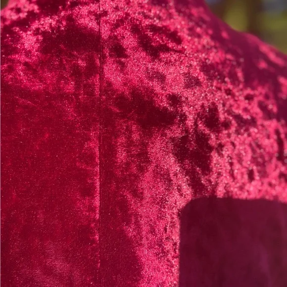 European Style Red Velvet Jacket with Embroidered Cuffs – NWT Sz Lg - Picture 6 of 9